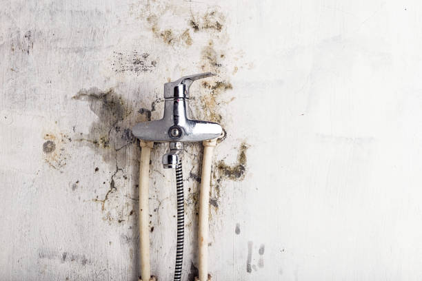 Best Water Damage Restoration  in Ardmore, PA