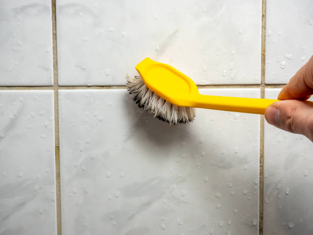 Best Mold Remediation  in Ardmore, PA