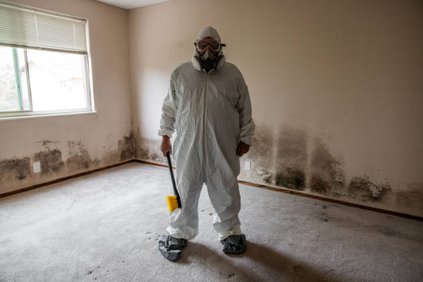 Best Mold Damage Repair  in Ardmore, PA